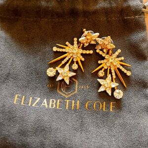 Elizabeth Cole starry night statement earrings